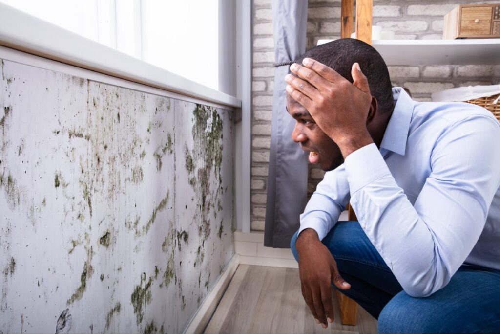 Young adult man looking at the mold on his wall in shock.