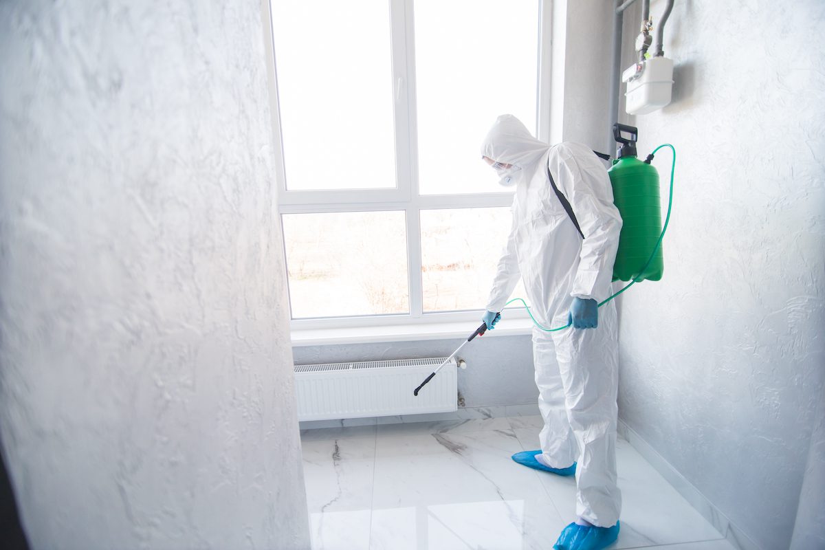 A professional spraying for mold.